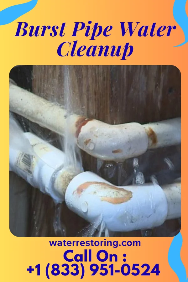 Burst Pipe Water Cleanup in Beal City, MI