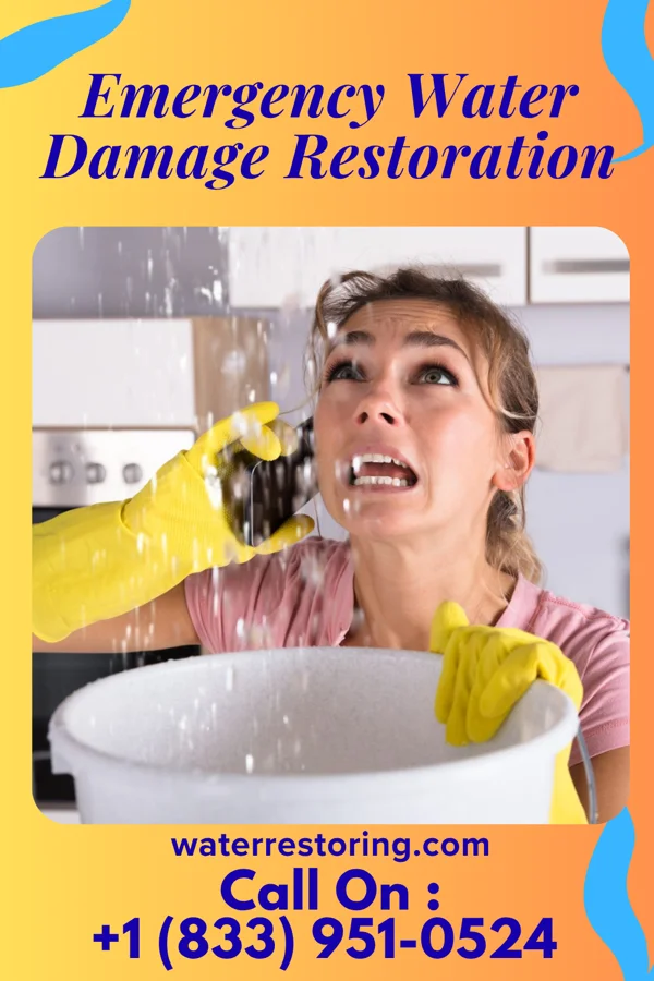 Emergency Water Damage Restoration in Beal City, MI