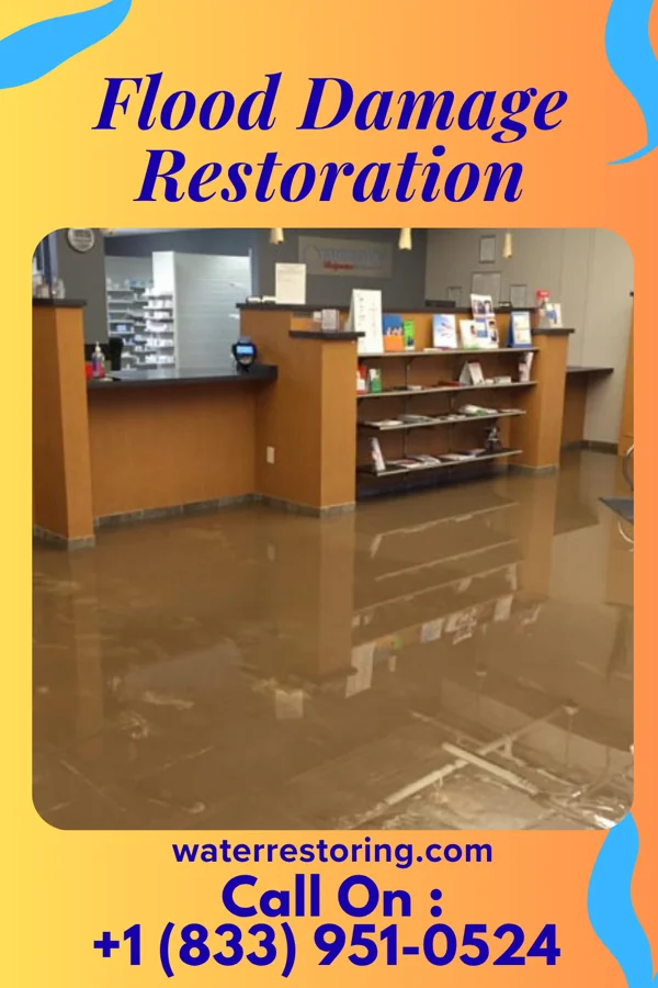 Flood Damage Restoration in Beal City, MI