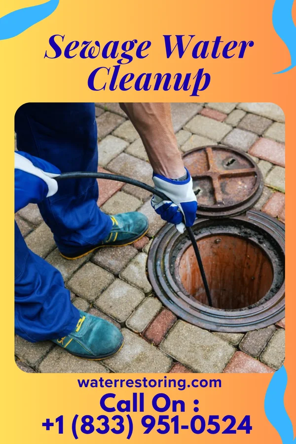 Sewage Water Cleanup in Beal City, MI